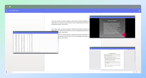 Document Preview